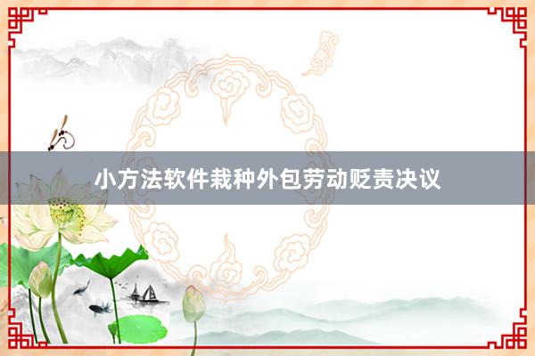 小方法软件栽种外包劳动贬责决议
