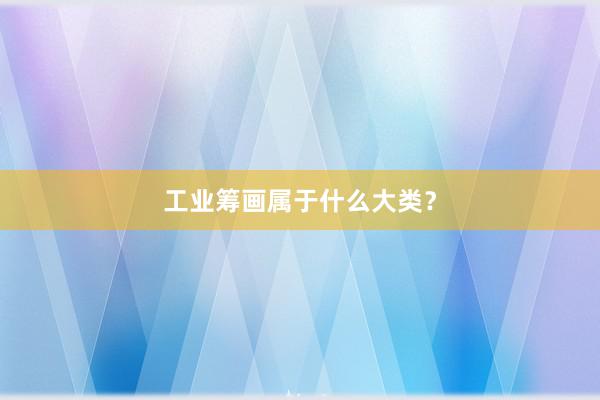 工业筹画属于什么大类？